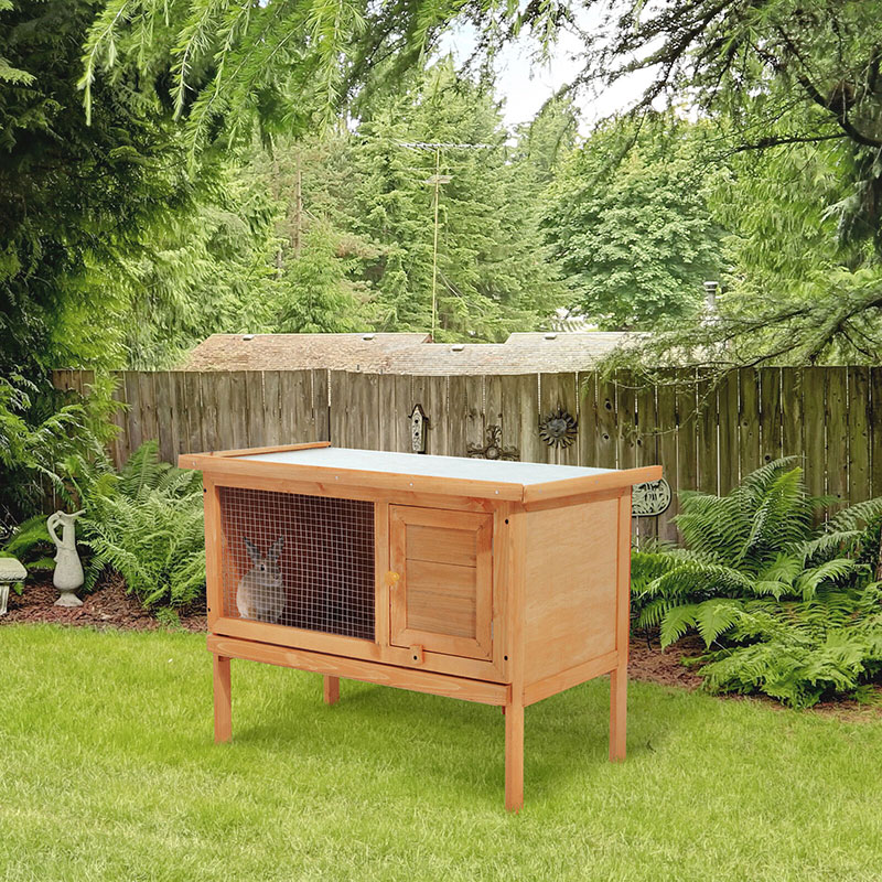 Guinea Pig Cages Guinea Pig Cage